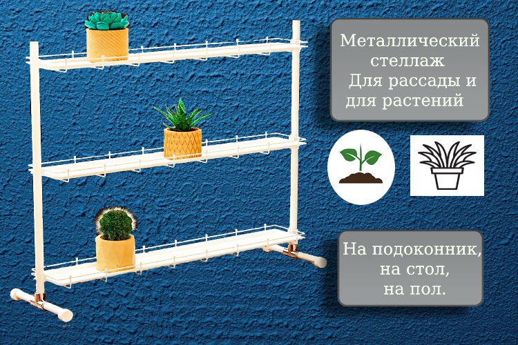 Кедр-мини на ножках . Фото N2