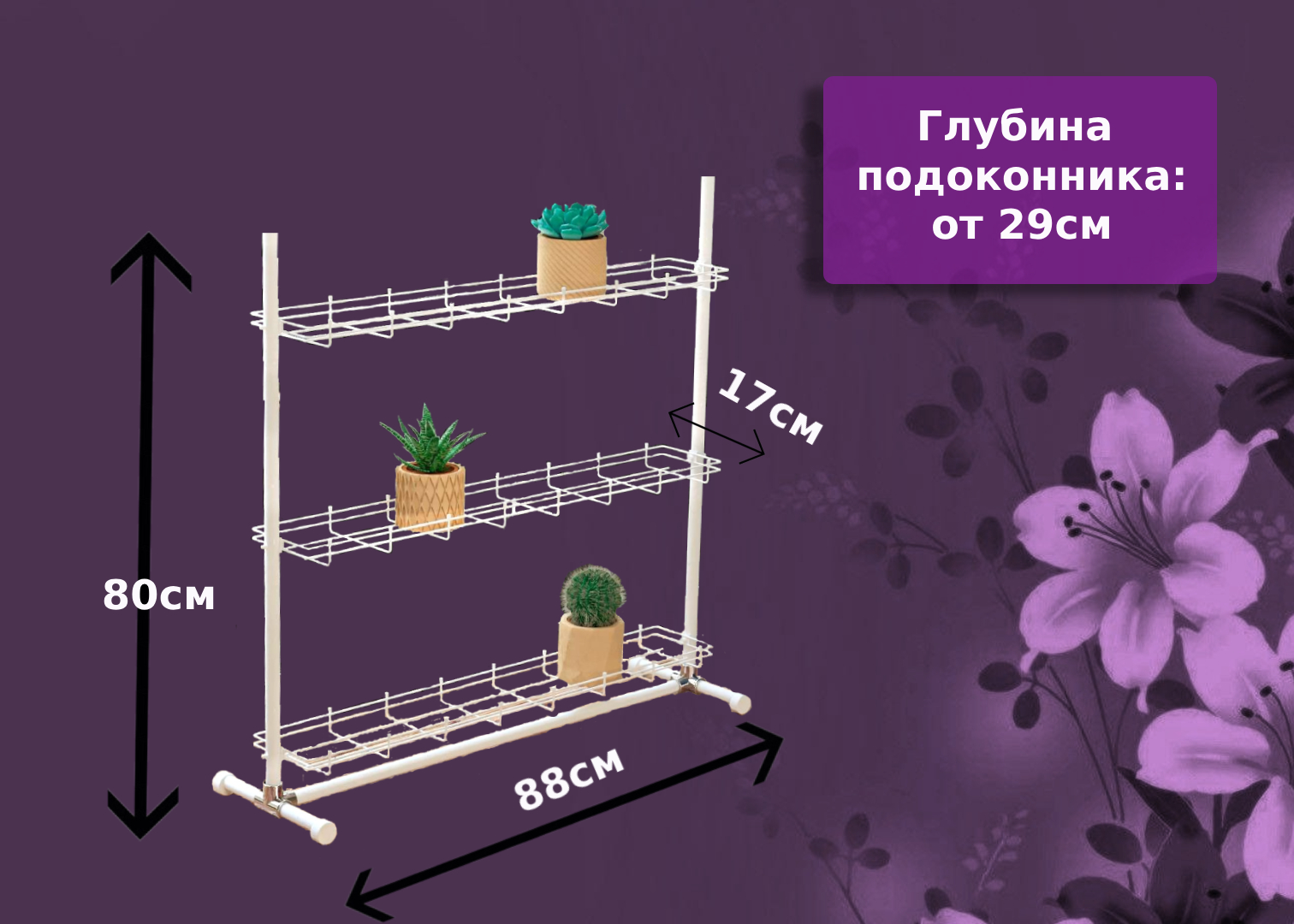 Кедр-мини на ножках . Фото N11